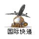 國際快遞,DHL國際快遞,EMS快遞,FedEx快遞,Aramex中東專線